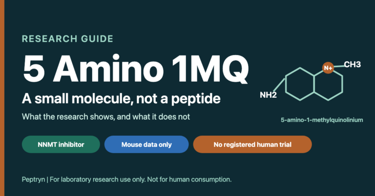 5 Amino 1MQ explained: a small-molecule NNMT inhibitor with mouse data only and no registered human trial