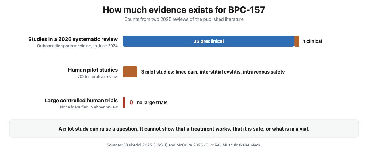 Bar chart of BPC-157 evidence: 36 studies in a 2025 review, 35 preclinical and 1 clinical, 3 human pilot studies and no large trials