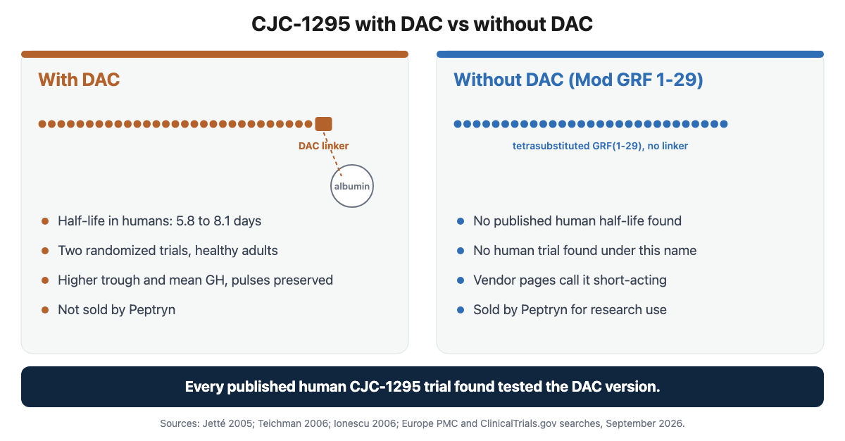 Diagram comparing CJC-1295 with DAC, which binds albumin and lasts days, and CJC-1295 without DAC, which lacks the linker, with a note that human trials tested the DAC form