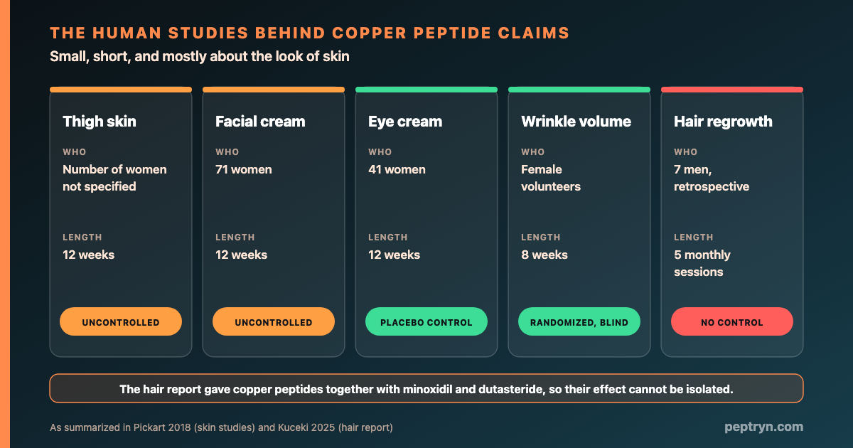 Cards summarizing the human copper peptide studies: a 41-woman controlled eye cream study, a 71-woman uncontrolled facial cream study, an 8-week randomized wrinkle study, and a 7-man uncontrolled hair report using a drug combination