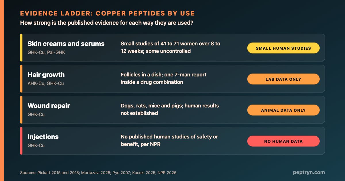 Evidence ladder for copper peptides by use: topical skin creams have small human studies, hair has laboratory data and one small uncontrolled report, wound repair has animal data, and injections have no published human studies