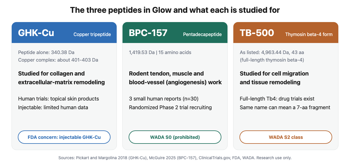 Cards showing the three peptides in Glow: GHK-Cu, BPC-157 and TB-500, with molecular weight, research focus, human evidence, and regulatory or sport status
