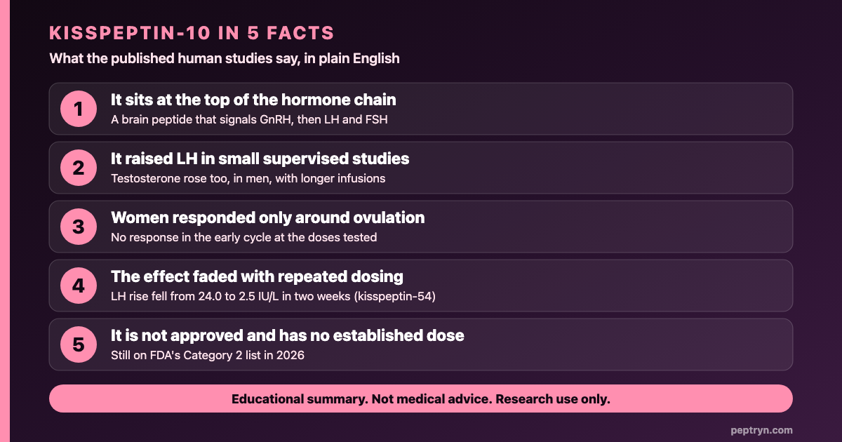 Kisspeptin-10 in five facts: top of the hormone chain, raised LH in small studies, women responded around ovulation, effect faded with repeated dosing, not approved and no established dose