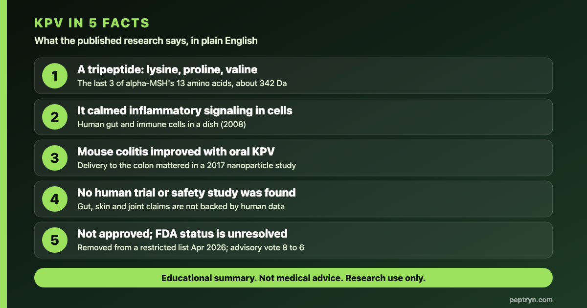 KPV in five facts: a tripeptide, calmed inflammatory signaling in cells, helped mouse colitis, no human trial found, not approved