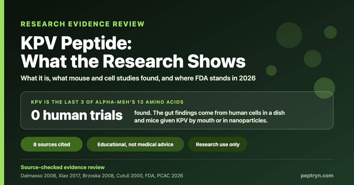 KPV peptide: KPV is the last three amino acids of alpha-MSH; no human trials were found and the gut findings come from cells and mice