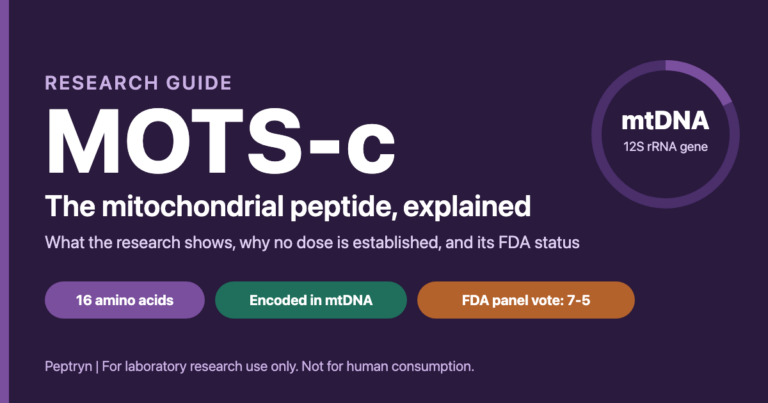 MOTS-c peptide explained: a 16-amino-acid mitochondrial peptide and its FDA status