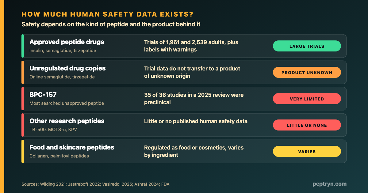Ladder showing how much human safety data exists for five kinds of peptide: approved drugs, unregulated copies of approved drugs, BPC-157, other research peptides, and food and skincare peptides