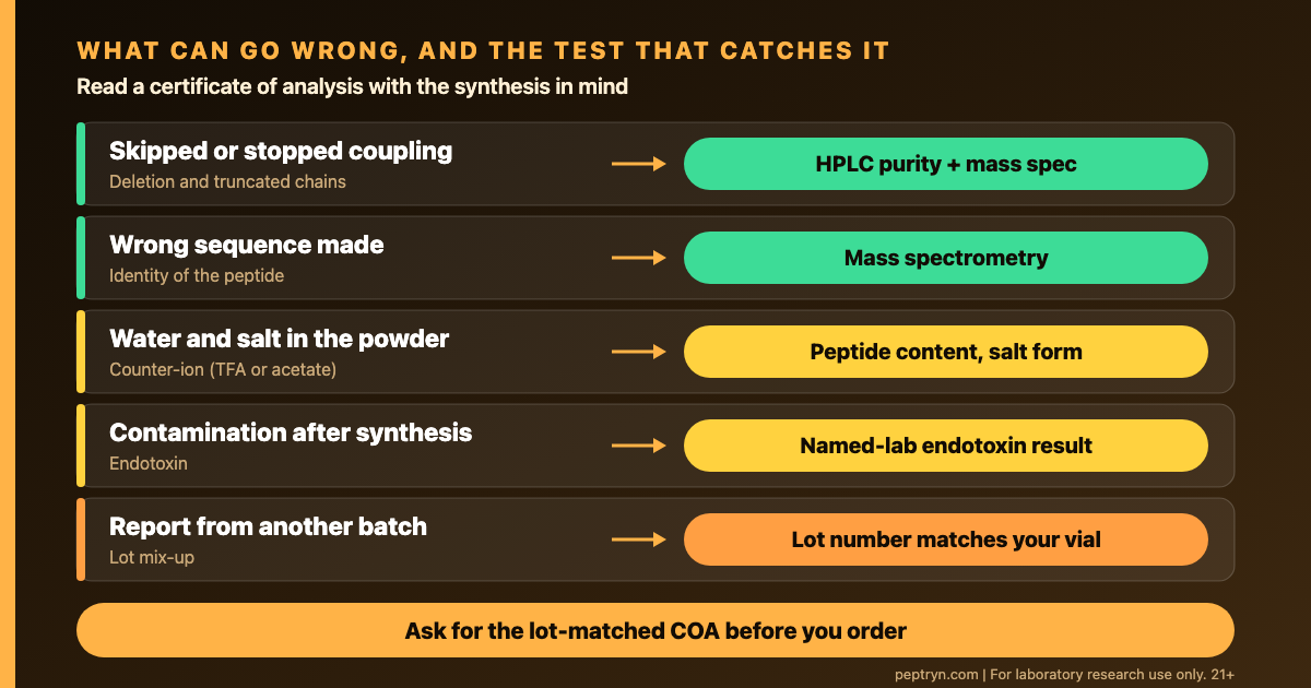 Map from peptide synthesis steps to the quality tests that catch problems: HPLC purity, mass spectrometry identity, peptide content, counter-ion, endotoxin and lot number match