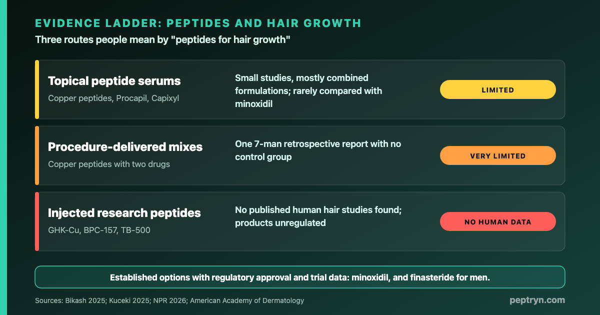 Evidence ladder for peptides and hair growth: topical peptide serums have small mostly combination studies, procedure-delivered mixes have one small uncontrolled report, and injected research peptides have no published human hair studies