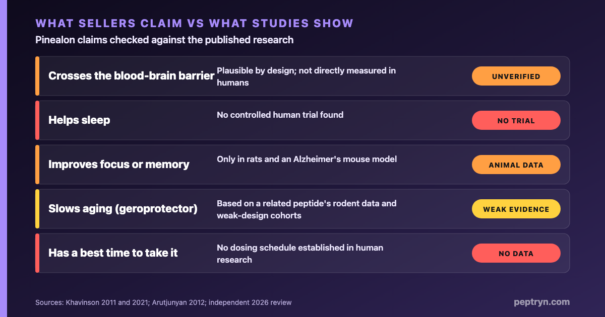 Pinealon claims checked against research: brain penetration is plausible from its design but not directly measured in humans, sleep and focus claims have no controlled human trial, antioxidant and cognitive effects are supported only in cells and rodents, safety in people is unverified