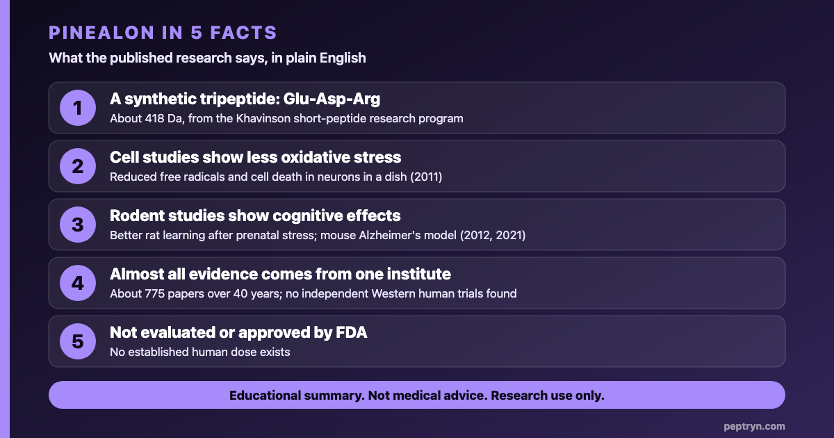 Pinealon in five facts: a synthetic tripeptide from the Khavinson research program, cell and rodent studies on oxidative stress and cognition, almost all evidence from one institute, no independent Western human trials, not FDA approved