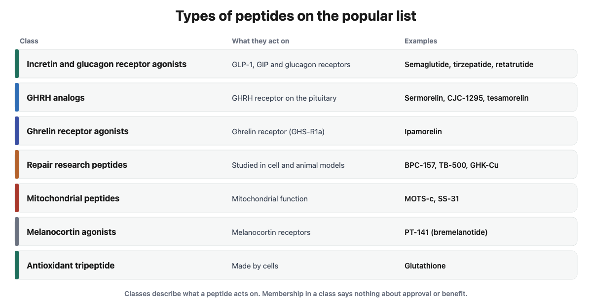 Diagram of peptide classes: incretin agonists, growth hormone-releasing hormone analogs, ghrelin receptor agonists, repair research peptides, mitochondrial peptides, melanocortin agonists and an antioxidant tripeptide
