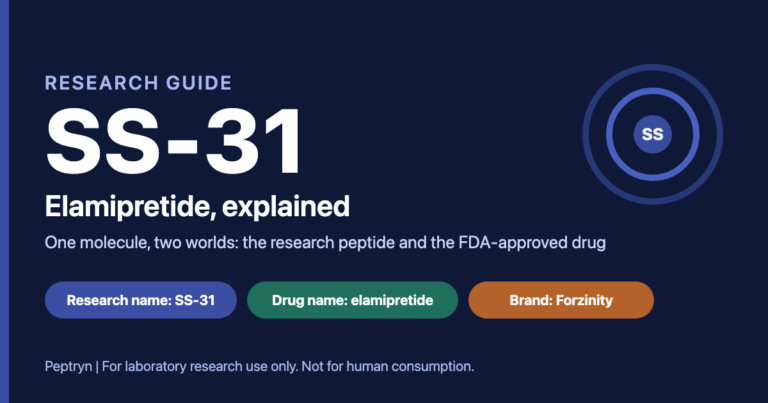 SS-31 elamipretide explained: the research peptide and the FDA-approved drug