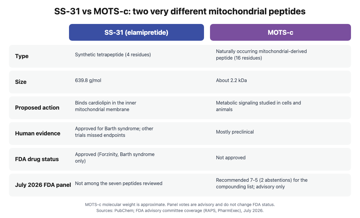 Comparison of SS-31 and MOTS-c across type, size, proposed action, human evidence, FDA drug status and the July 2026 FDA panel