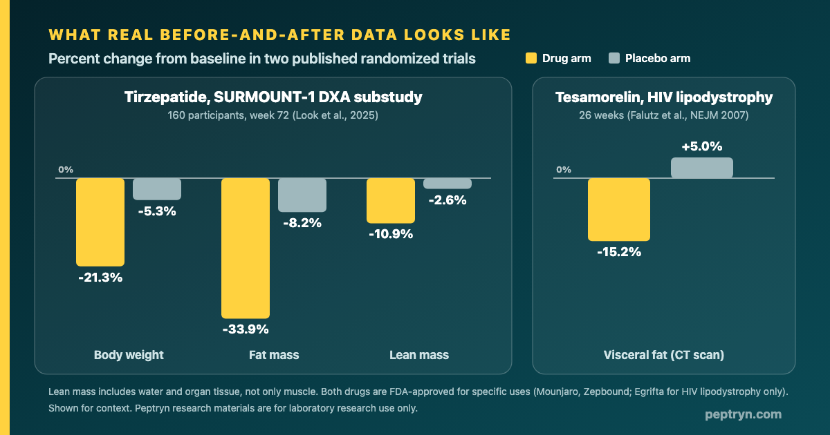 Chart of two published trials: tirzepatide SURMOUNT-1 DXA substudy showing percent change in body weight, fat mass and lean mass versus placebo, and tesamorelin visceral fat change versus placebo