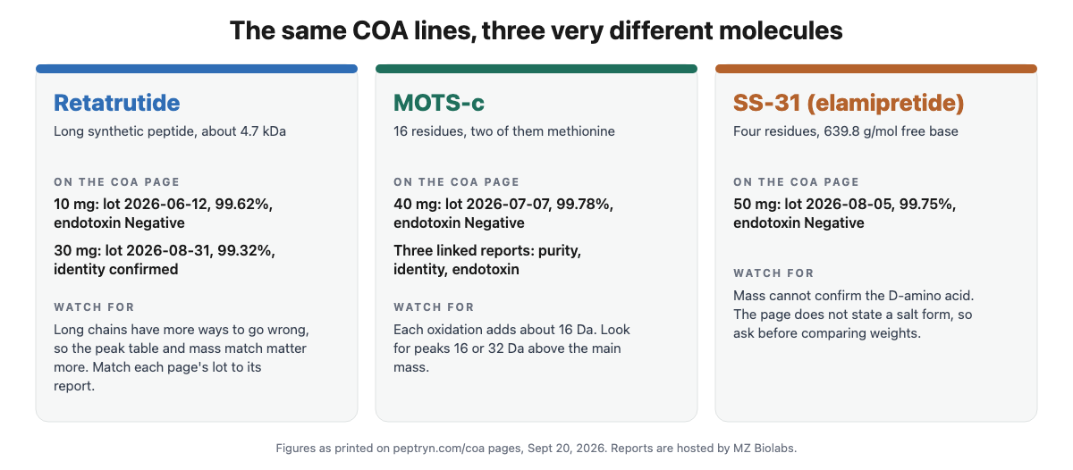 Comparison of the retatrutide, MOTS-c and SS-31 COA pages: lot, purity, endotoxin result and what to watch for