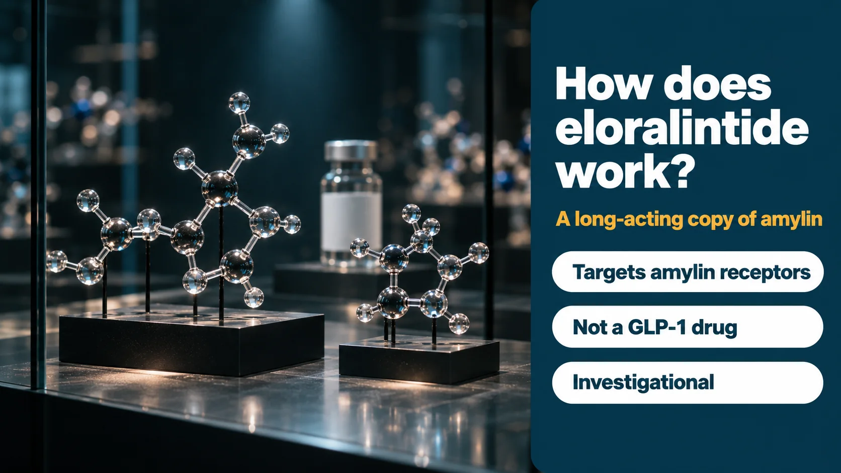How does eloralintide work? A long-acting copy of amylin that targets amylin receptors; not a GLP-1 drug; investigational; acrylic molecular models in a display case beside a plain research vial